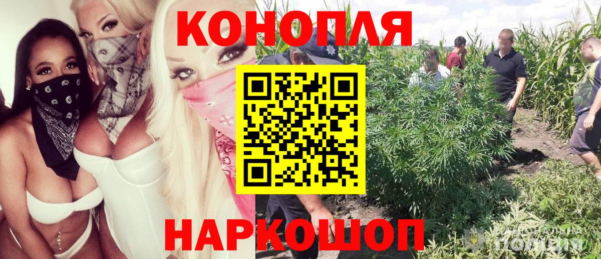 МАРИХУАНА ГИДРОПОН  Канабис марихуана  Златоуст  Вход с VPN  Конопля SATIVA & INDICA 
